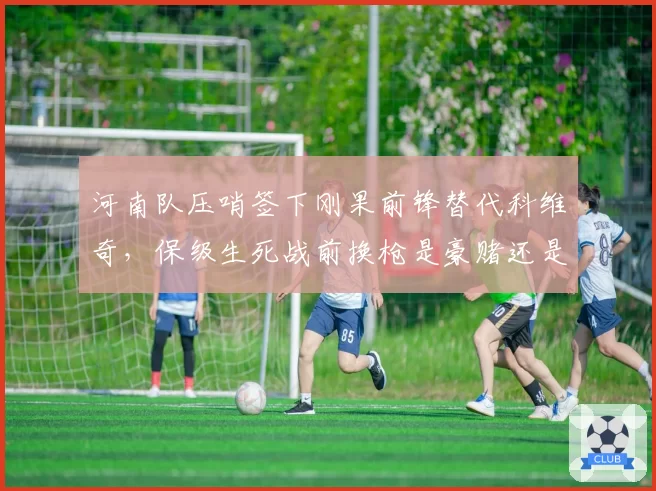 河南队压哨签下刚果前锋替代科维奇,保级生死战前换枪是豪赌还是自救?
