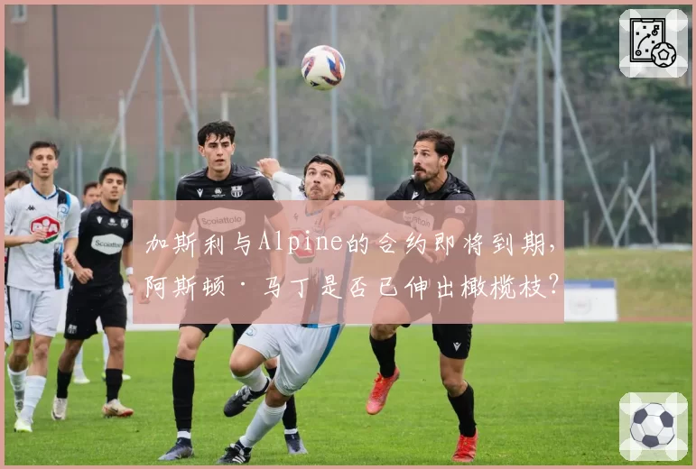 加斯利与Alpine的合约即将到期，阿斯顿·马丁是否已伸出橄榄枝？
