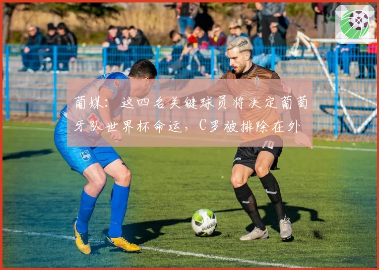 葡媒：这四名关键球员将决定葡萄牙队世界杯命运，C罗被排除在外